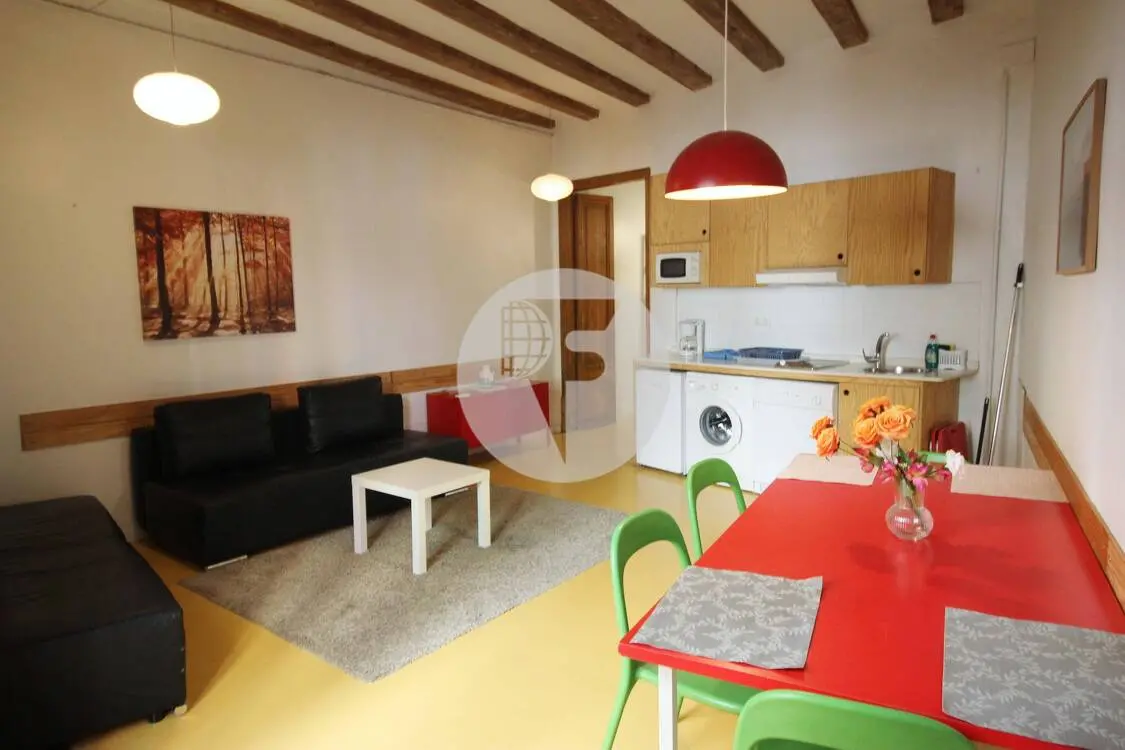 Piso con terraza y licencia turística en El Raval - imagen 47