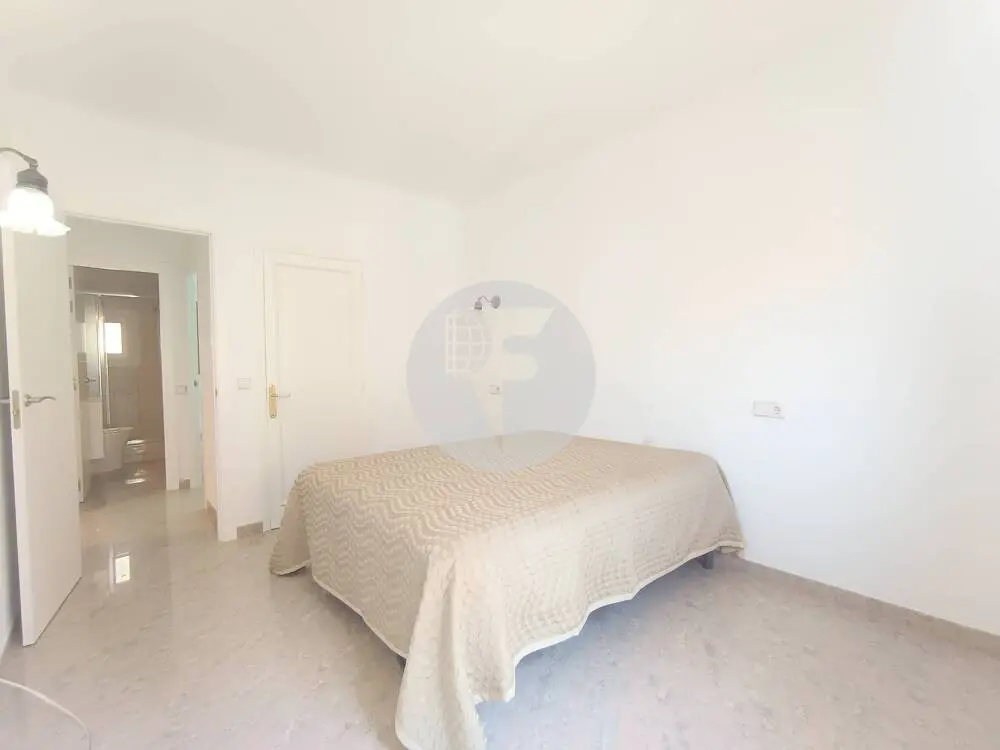 Amplia y luminosa vivienda de 3 dormitorios en pleno centro de Palma - imagen 5