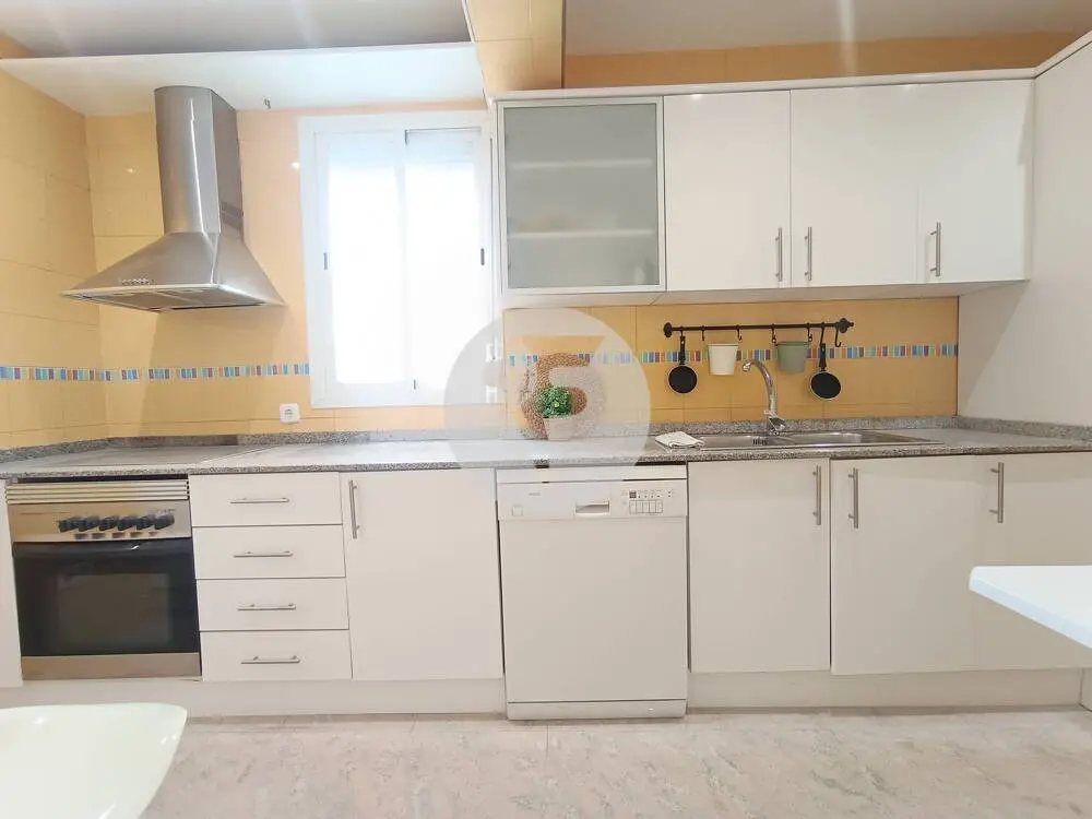 Amplia y luminosa vivienda de 3 dormitorios en pleno centro de Palma - imagen 11
