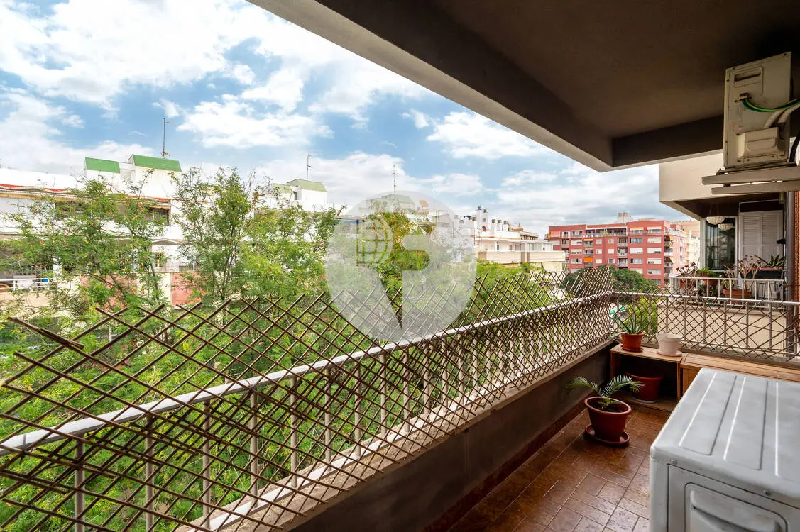 Elegancia, luz y amplitud en una de las zonas con mayor proyección de Palma. - imagen 6