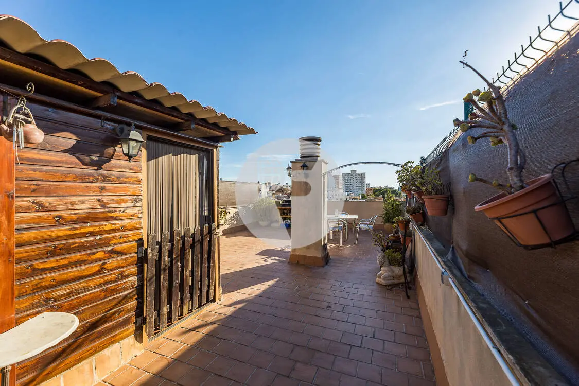 Tu propio solárium de 55 m² en Palma - imagen 6