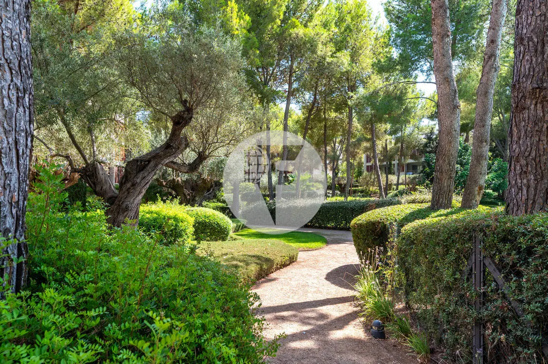 Ático exclusivo con solárium privado de 51 m² en Es Pinar, Bendinat - imagen 23