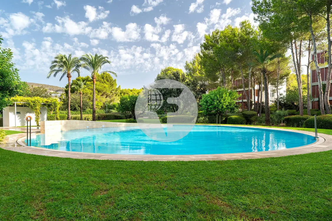 Ático exclusivo con solárium privado de 51 m² en Es Pinar, Bendinat - imagen 5