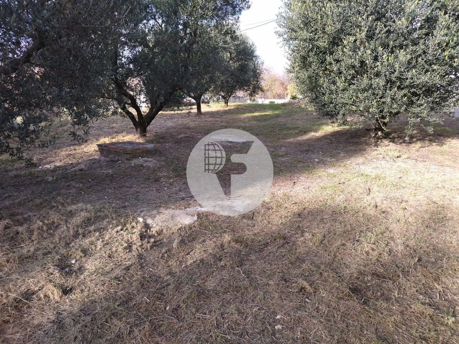 Singular finca rural conocida como Cal Cata, situada en Sant Martí Sarroca, en pleno entorno rural y vitivinícola del Alt Penedès - imagen 41