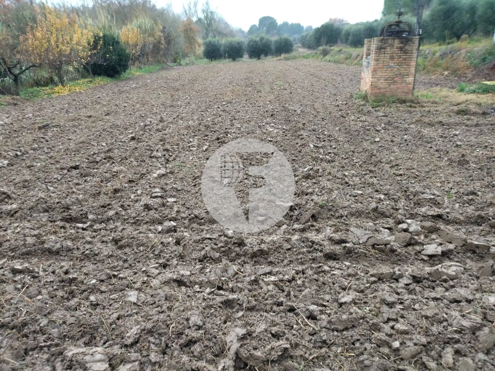 Singular finca rural conocida como Cal Cata, situada en Sant Martí Sarroca, en pleno entorno rural y vitivinícola del Alt Penedès - imagen 40