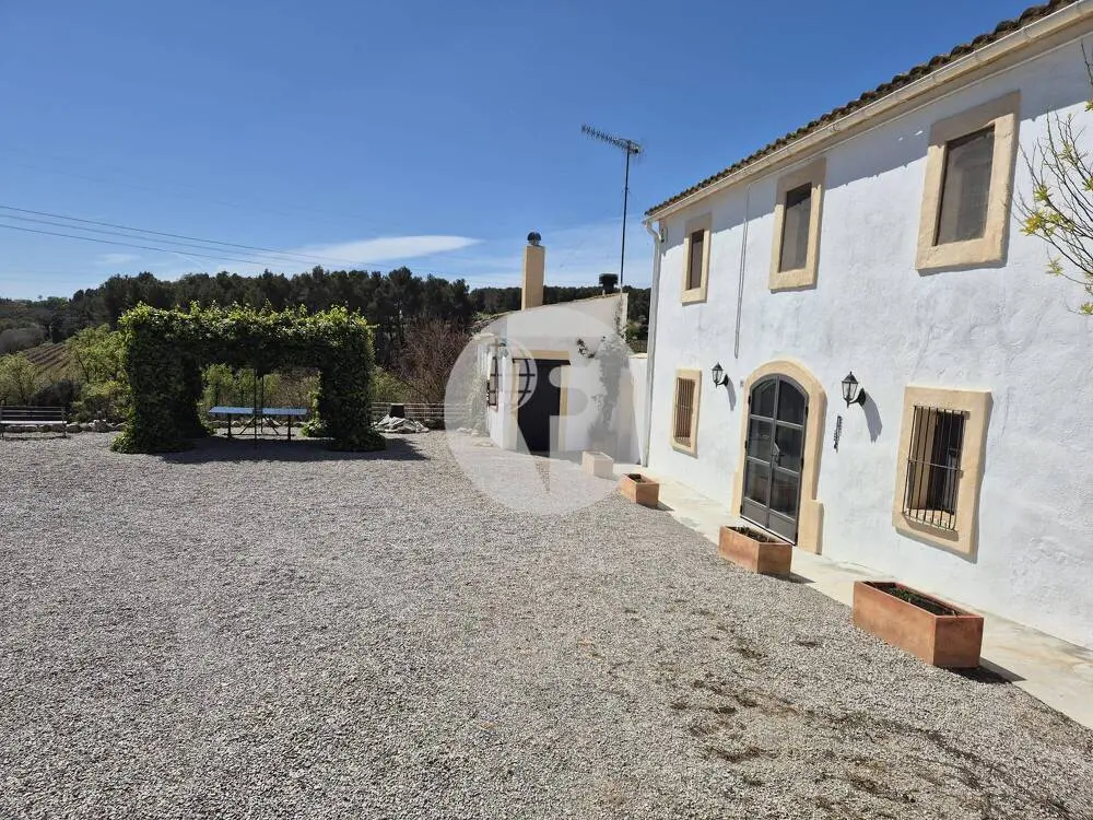 Singular finca rural conocida como Cal Cata, situada en Sant Martí Sarroca, en pleno entorno rural y vitivinícola del Alt Penedès - imagen 6