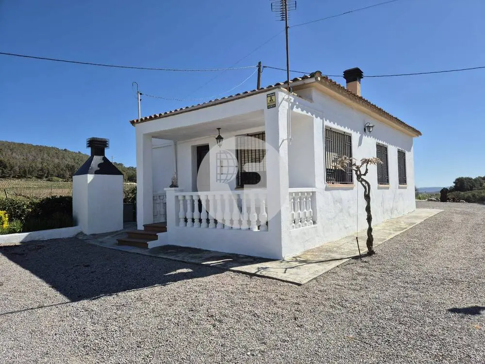 Singular finca rural conocida como Cal Cata, situada en Sant Martí Sarroca, en pleno entorno rural y vitivinícola del Alt Penedès - imagen 9