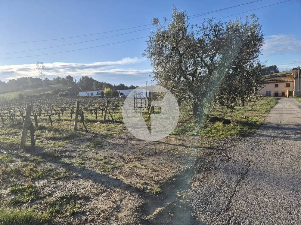 Singular finca rural conocida como Cal Cata, situada en Sant Martí Sarroca, en pleno entorno rural y vitivinícola del Alt Penedès - imagen 33
