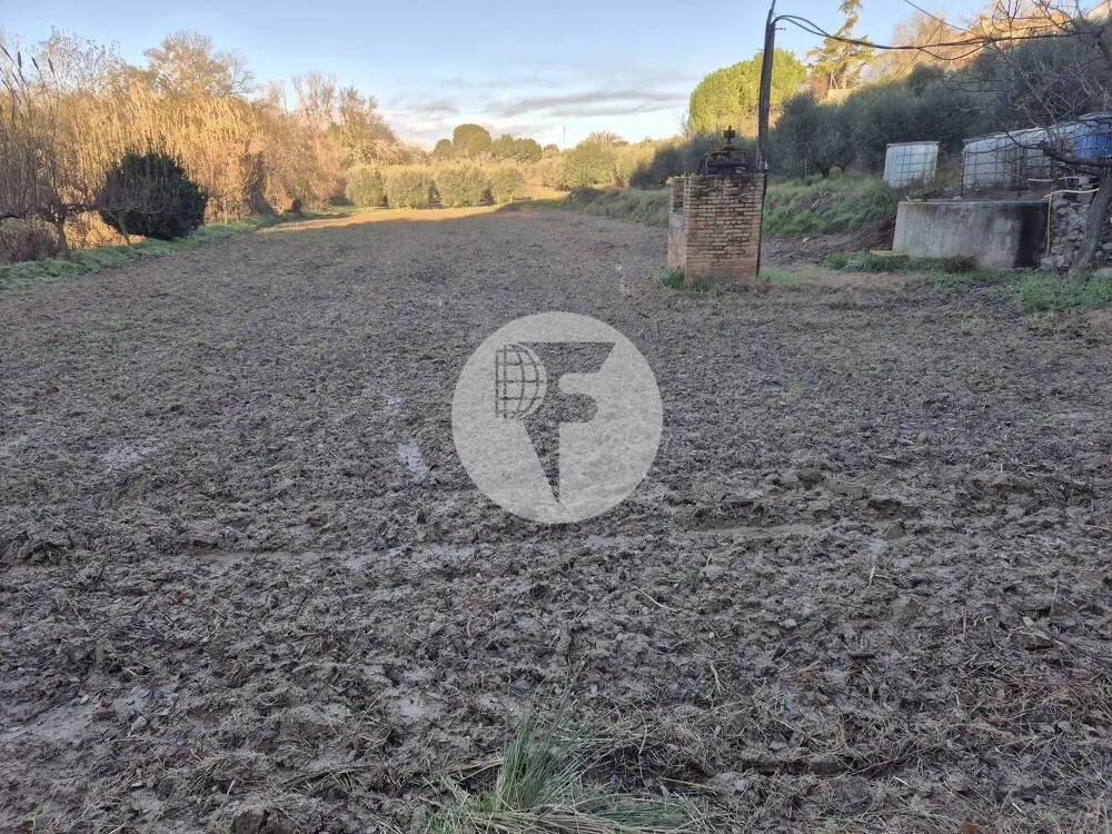 Singular finca rural conocida como Cal Cata, situada en Sant Martí Sarroca, en pleno entorno rural y vitivinícola del Alt Penedès - imagen 31
