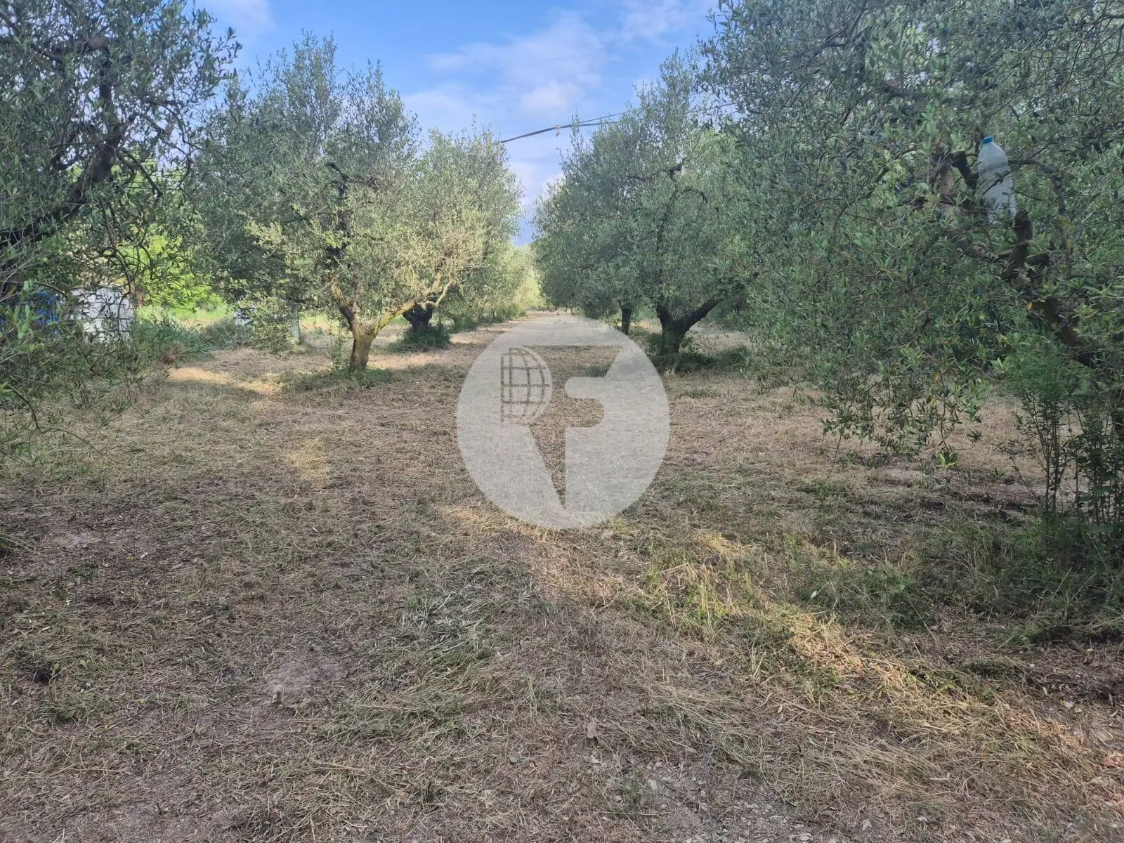 Singular finca rural conocida como Cal Cata, situada en Sant Martí Sarroca, en pleno entorno rural y vitivinícola del Alt Penedès - imagen 45
