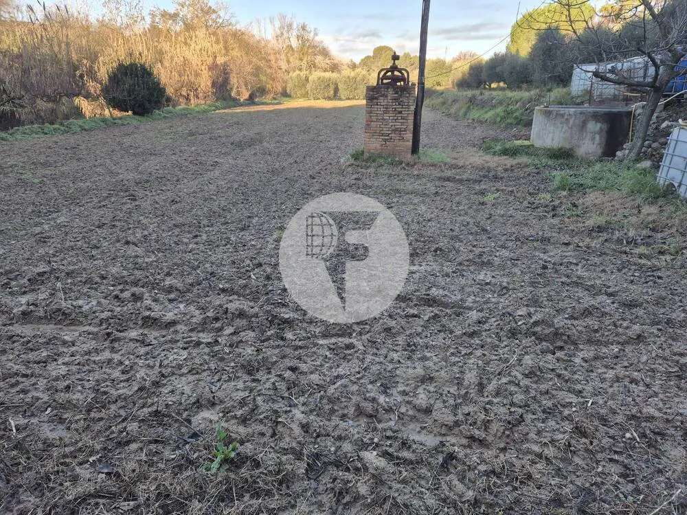 Singular finca rural conocida como Cal Cata, situada en Sant Martí Sarroca, en pleno entorno rural y vitivinícola del Alt Penedès - imagen 39