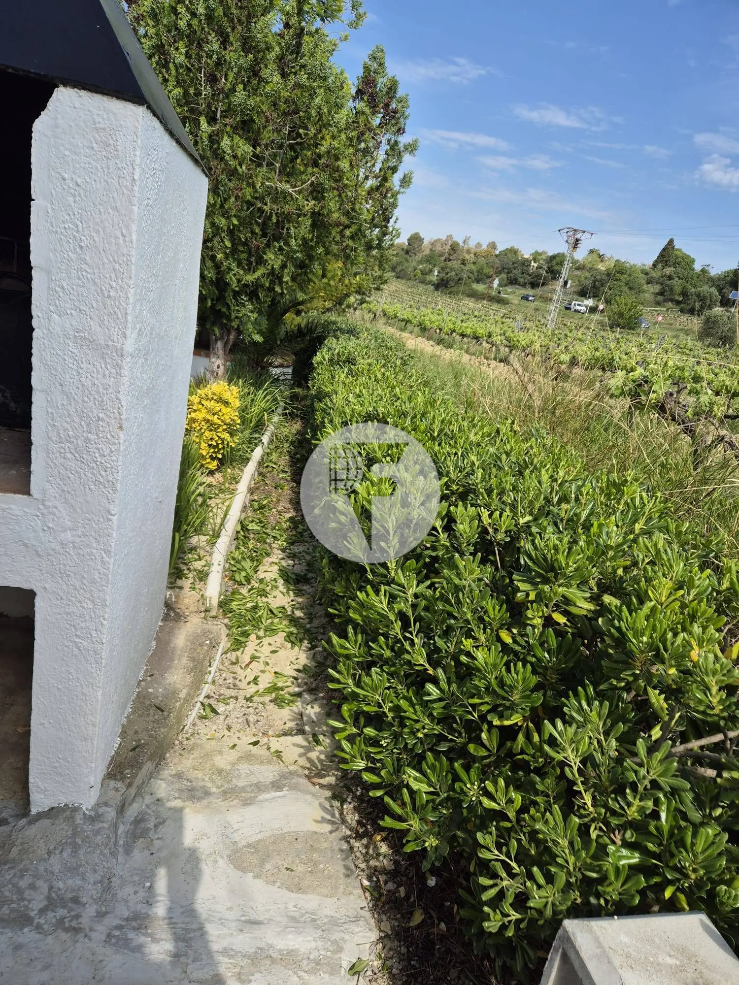 Singular finca rural conocida como Cal Cata, situada en Sant Martí Sarroca, en pleno entorno rural y vitivinícola del Alt Penedès - imagen 49