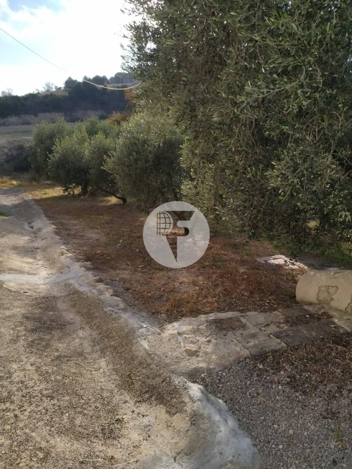 Singular finca rural conocida como Cal Cata, situada en Sant Martí Sarroca, en pleno entorno rural y vitivinícola del Alt Penedès - imagen 43