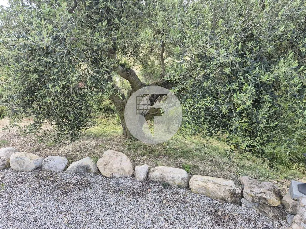 Singular finca rural conocida como Cal Cata, situada en Sant Martí Sarroca, en pleno entorno rural y vitivinícola del Alt Penedès - imagen 56