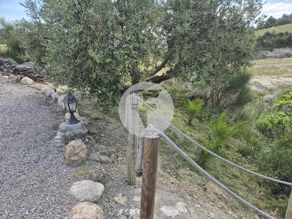 Singular finca rural conocida como Cal Cata, situada en Sant Martí Sarroca, en pleno entorno rural y vitivinícola del Alt Penedès - imagen 2