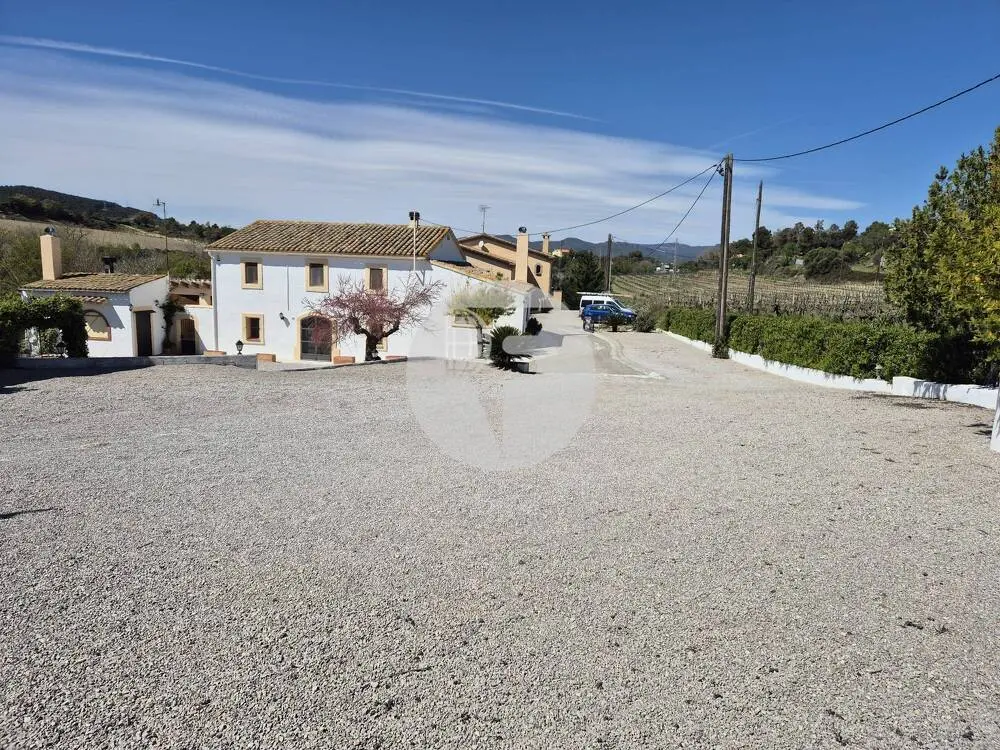 Singular finca rural conocida como Cal Cata, situada en Sant Martí Sarroca, en pleno entorno rural y vitivinícola del Alt Penedès - imagen 8