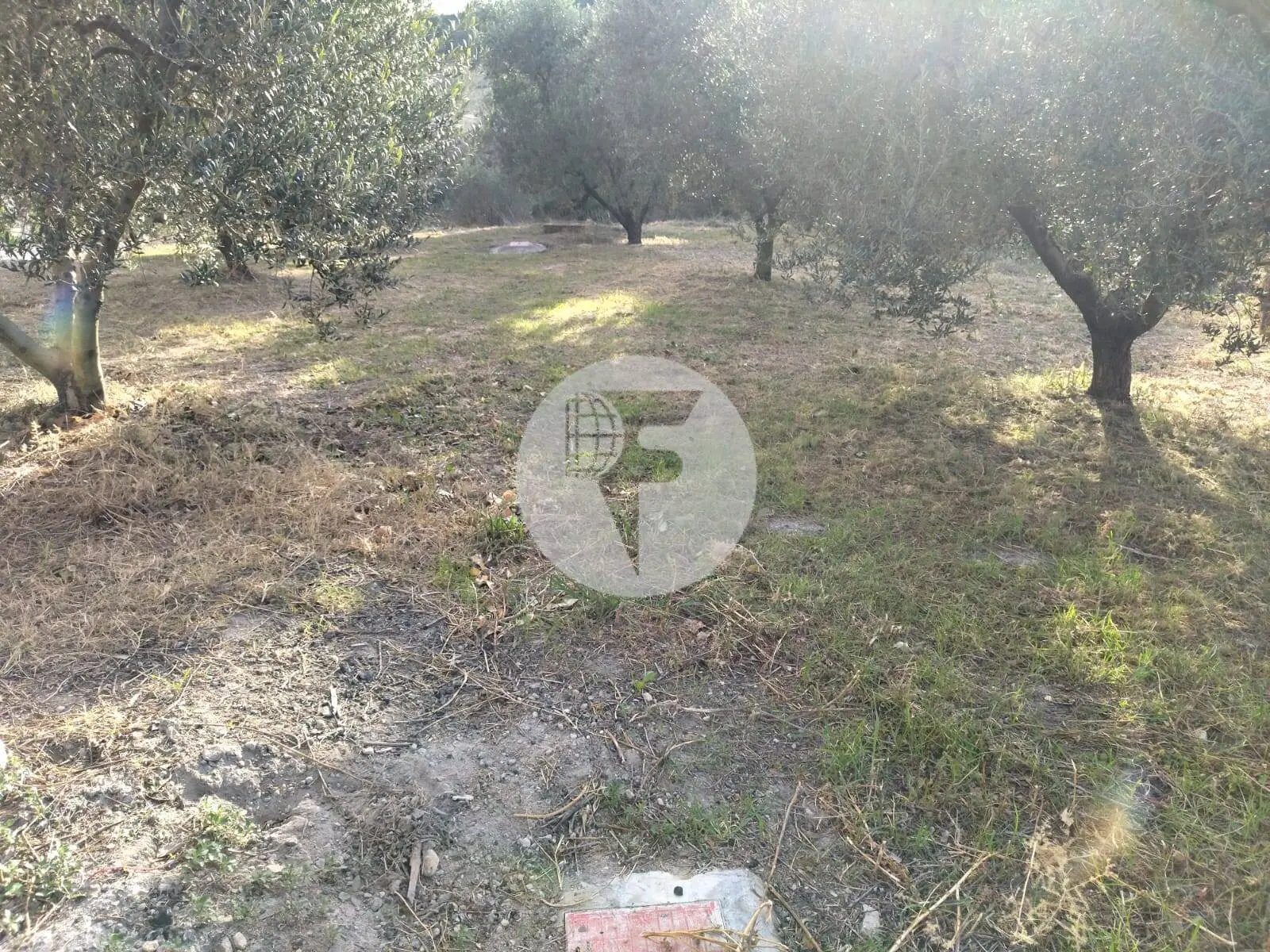 Singular finca rural conocida como Cal Cata, situada en Sant Martí Sarroca, en pleno entorno rural y vitivinícola del Alt Penedès - imagen 42