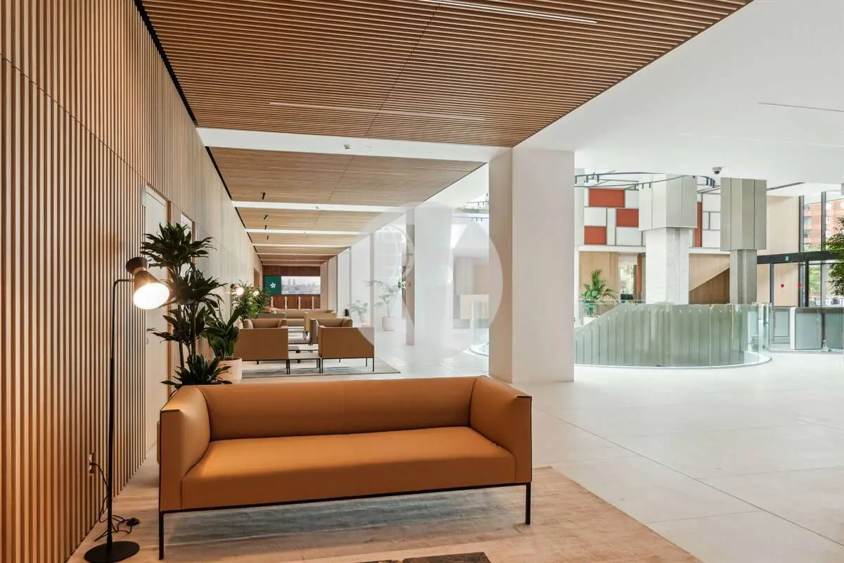 EDIFICIO ESTEL - imagen 15