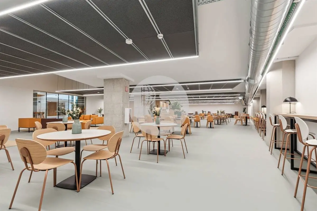 EDIFICIO ESTEL - imagen 17