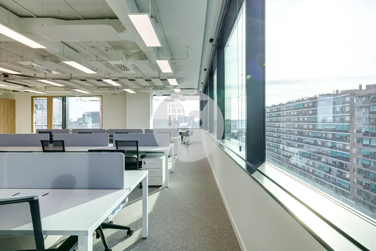 TORRE LLACUNA: EL NUEVO REFERENTE EMPRESARIAL DEL 22@ - imagen 24