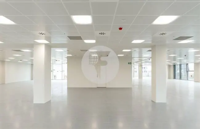 EDIFICIO LUX - imagen 16