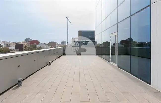 EDIFICIO LUX - imagen 11