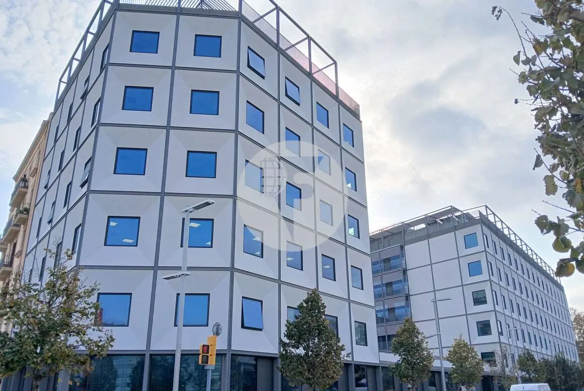 HIIT EDIFICIO HUMAN