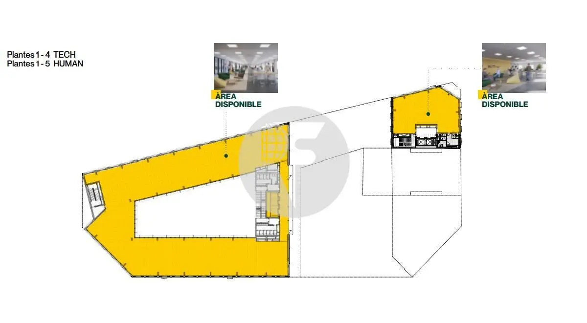 HIIT EDIFICIO HUMAN - imagen 6