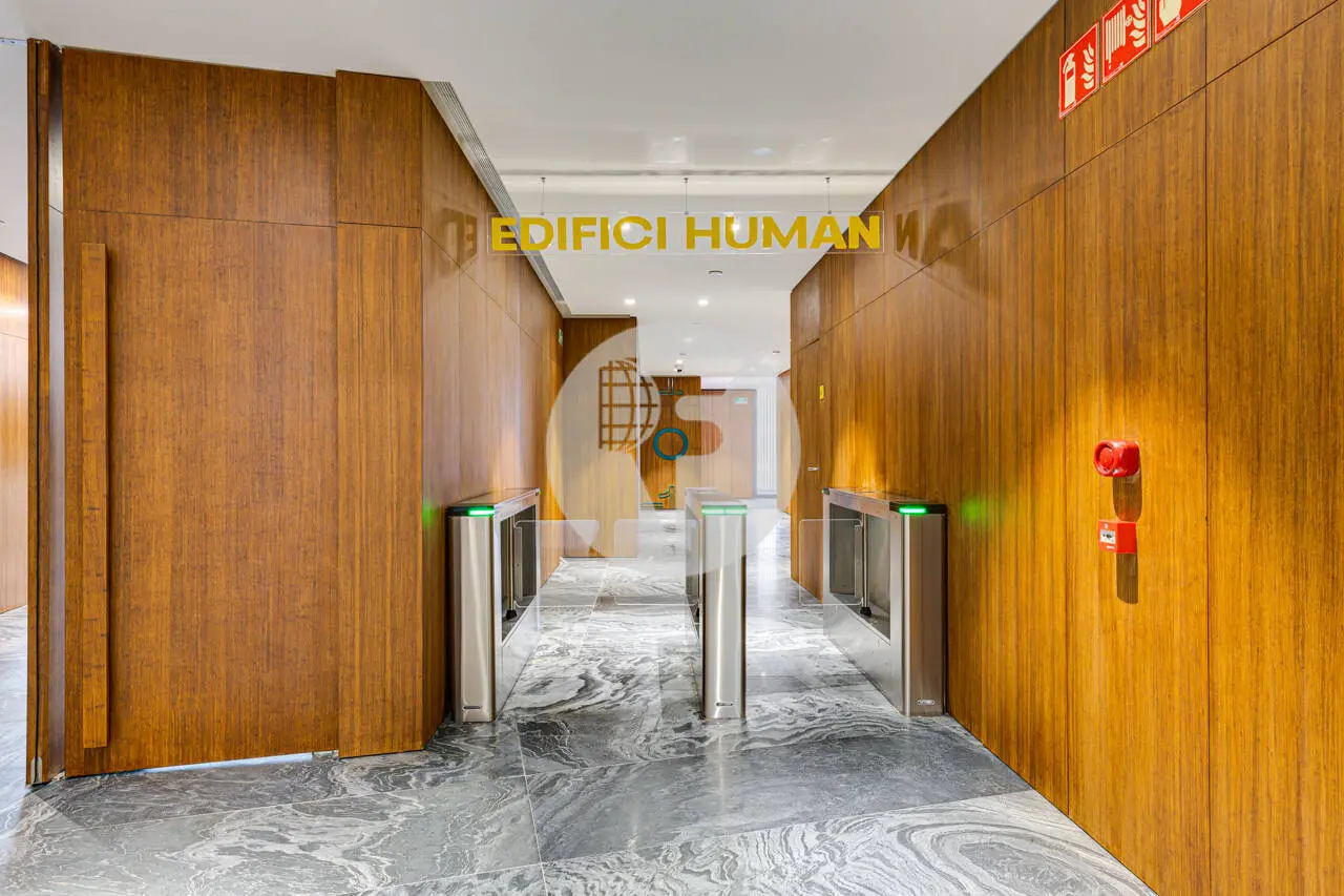OFICINA IMPLANTADA EN ALQUILER EN EL EDIFICIO HIIT | DISEÑO, SOSTENIBILIDAD Y TERRAZAS - imagen 43