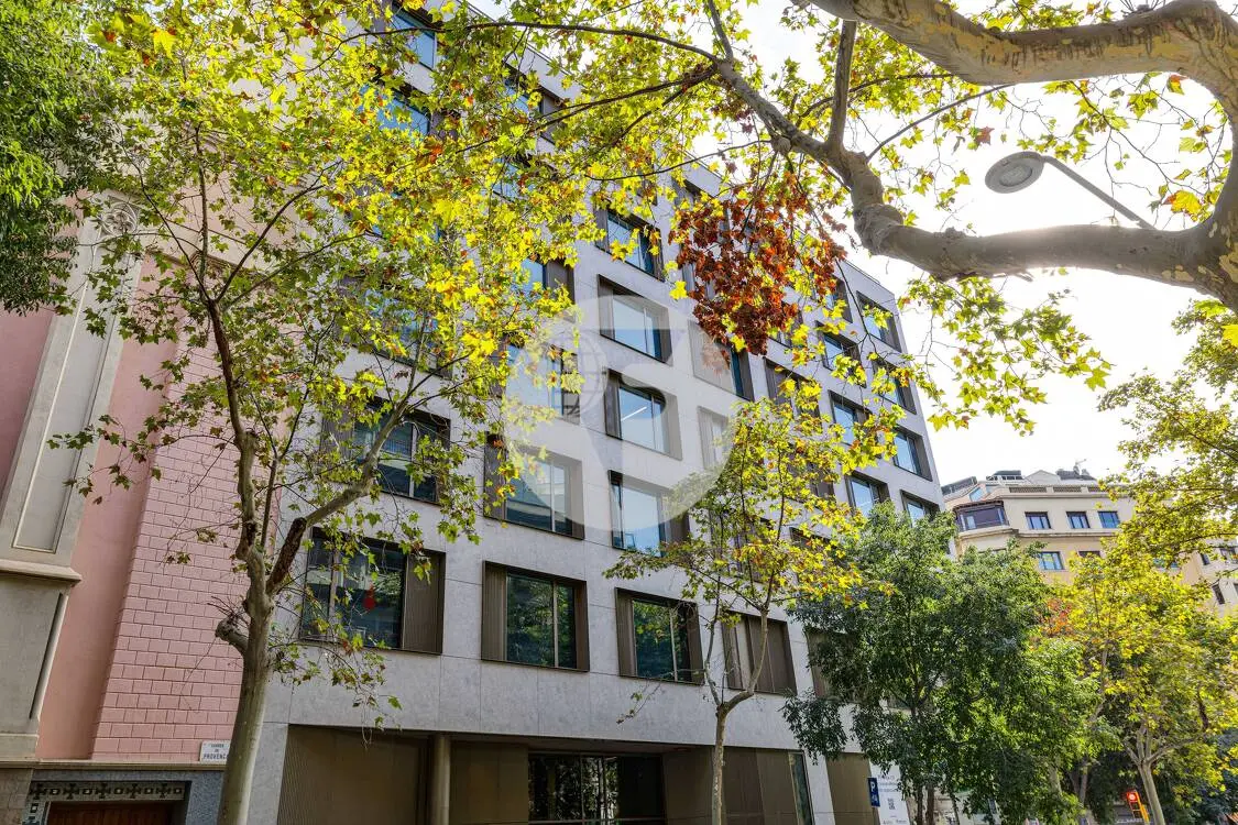 PROVENÇA 206 _ OFICINA CON TERRAZA - imagen 79