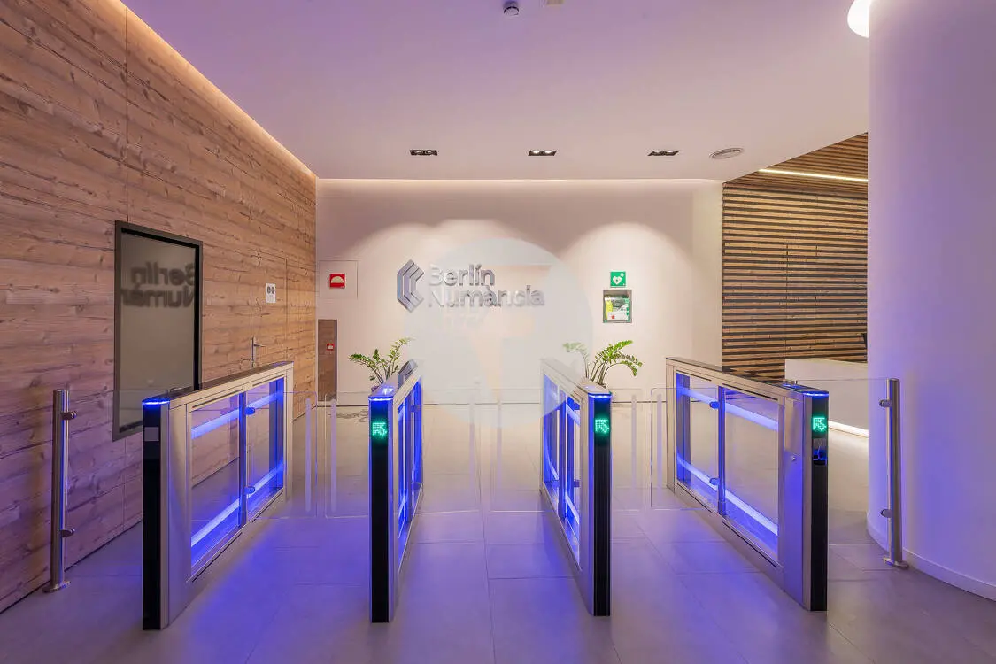 OFICINA IMPLANTADA BERLIN-NUMANCIA - imagen 12