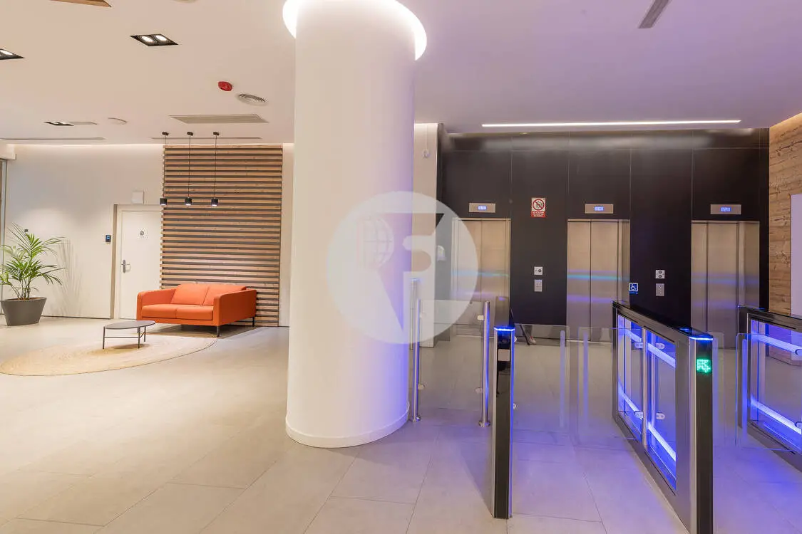 OFICINA IMPLANTADA BERLIN-NUMANCIA - imagen 13