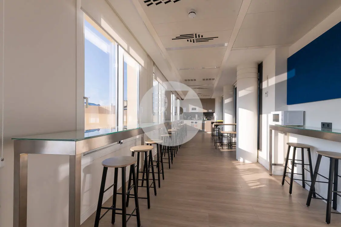 OFICINA IMPLANTADA BERLIN-NUMANCIA - imagen 15