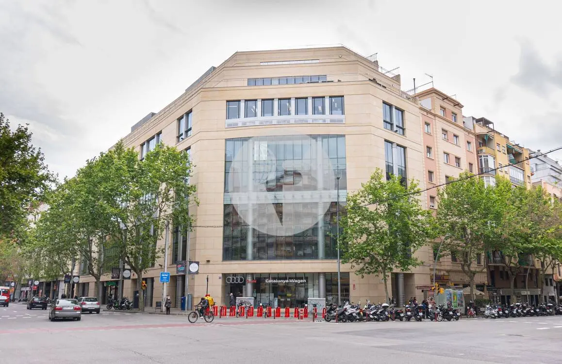 OFICINA IMPLANTADA BERLIN-NUMANCIA - imagen 17