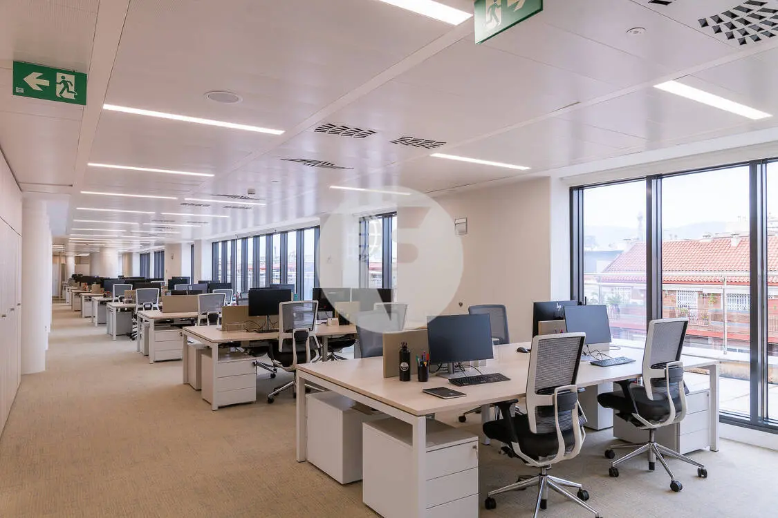 OFICINA IMPLANTADA BERLIN-NUMANCIA