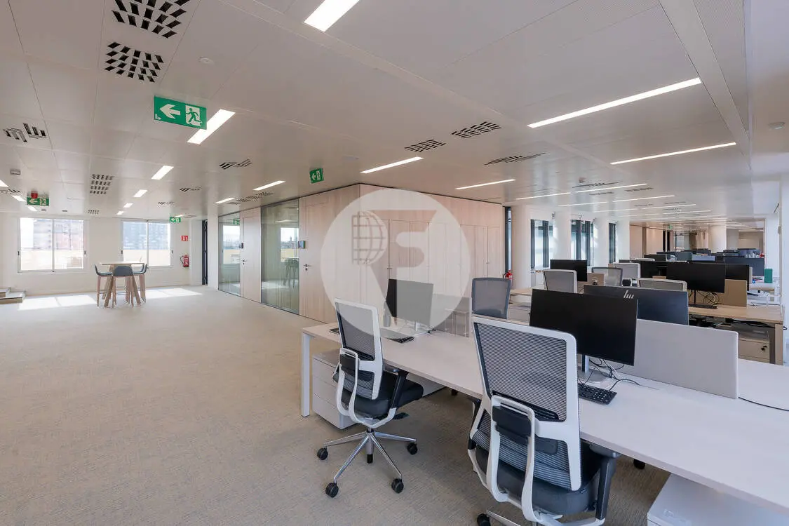 OFICINA IMPLANTADA BERLIN-NUMANCIA - imagen 3