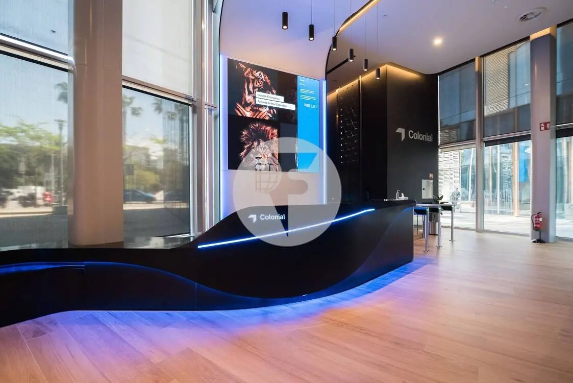 TORRE MARENOSTRUM B - imagen 2