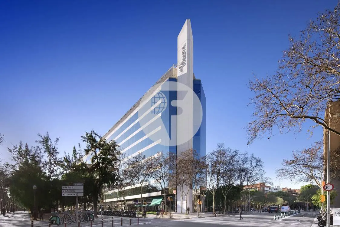 ALTA DIAGONAL - imagen 9