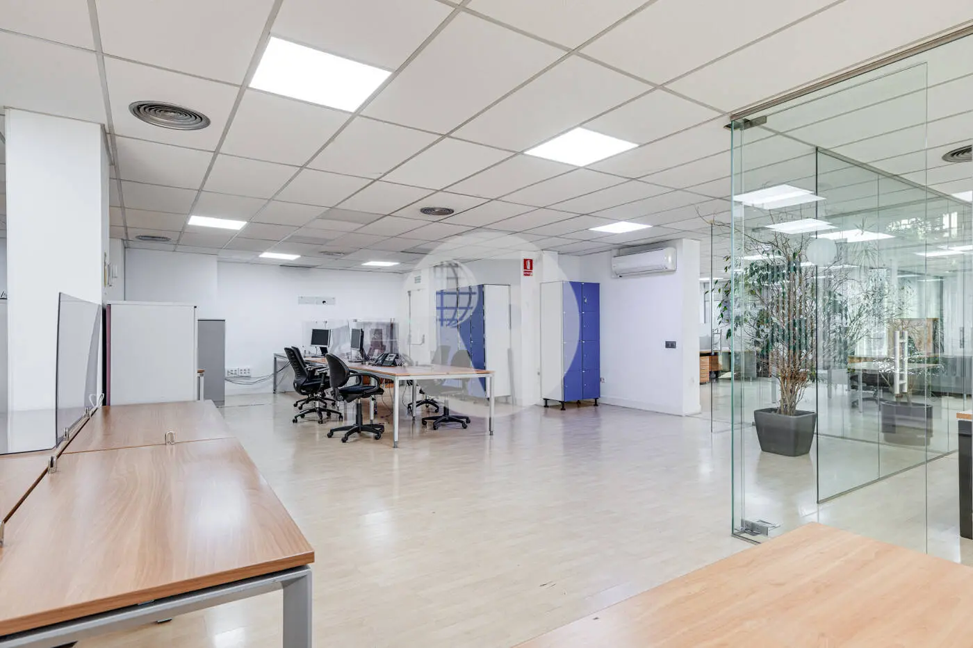 TRAVESSERA DE LES CORTS - imagen 2