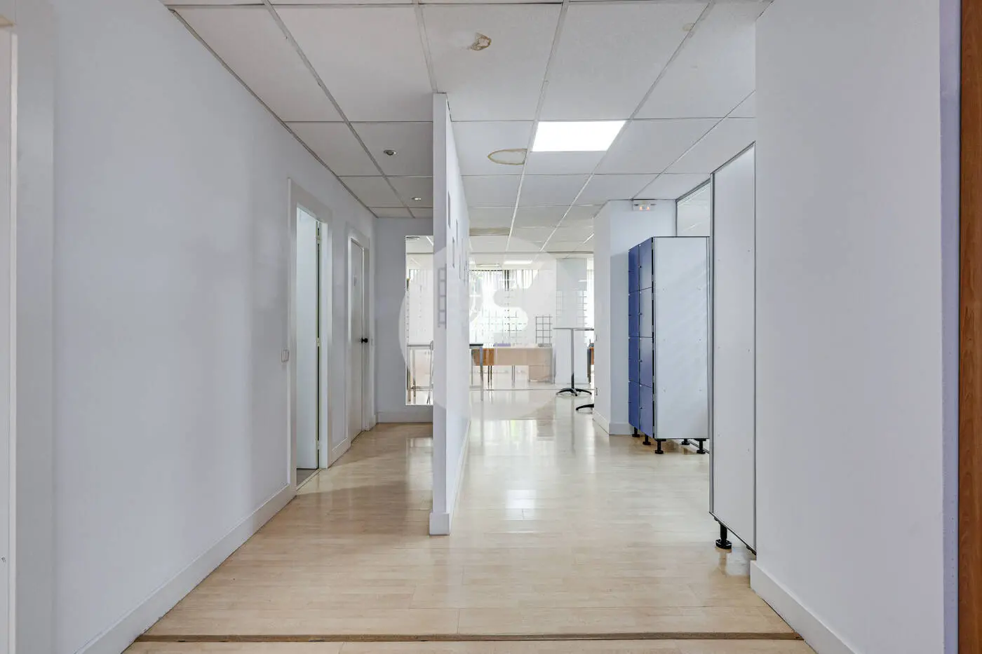 TRAVESSERA DE LES CORTS - imagen 19