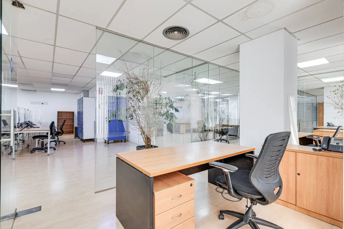 TRAVESSERA DE LES CORTS - imagen 30