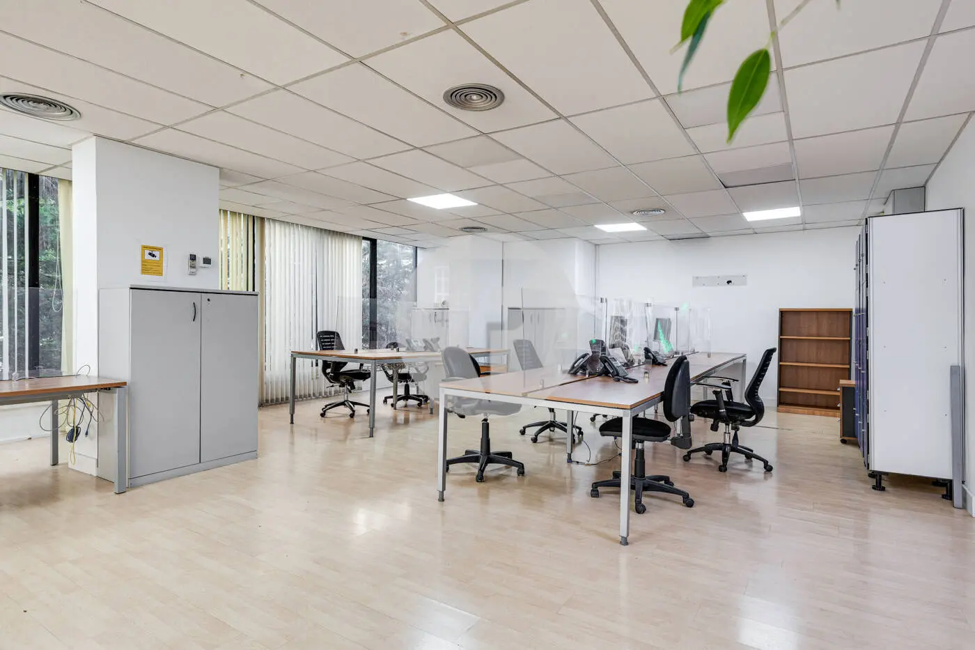 TRAVESSERA DE LES CORTS - imagen 31