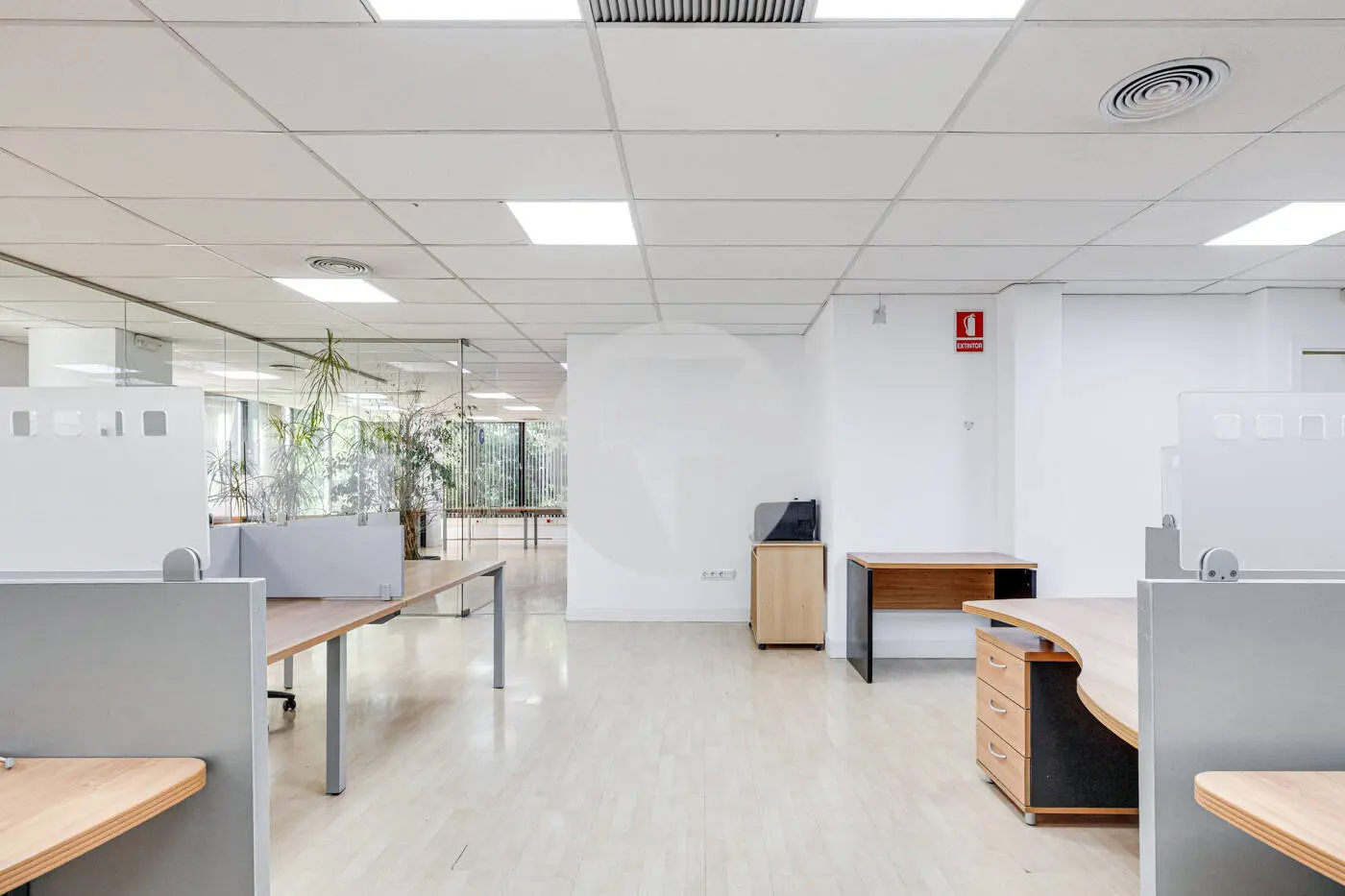TRAVESSERA DE LES CORTS - imagen 24