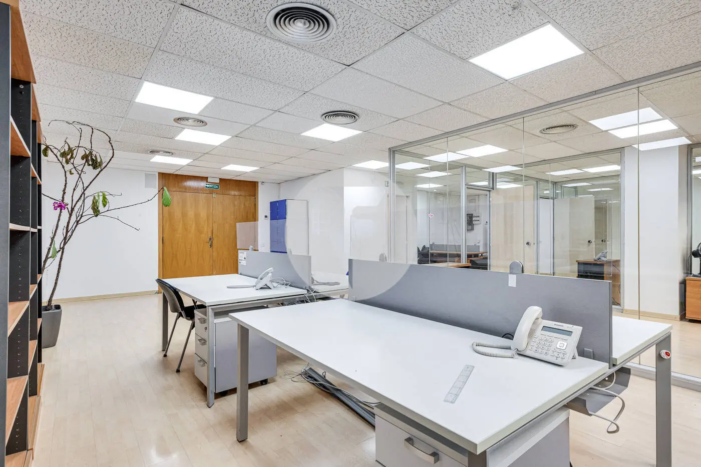 TRAVESSERA DE LES CORTS - imagen 8