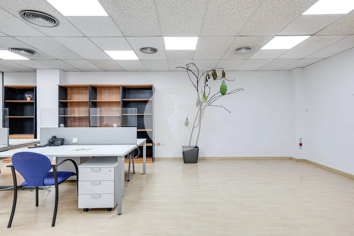 TRAVESSERA DE LES CORTS - imagen 6