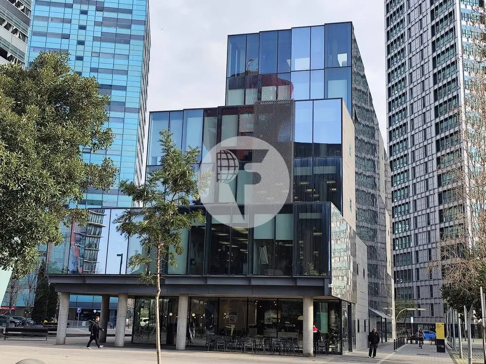 OFICINA IMPLANTADA CON TERRAZA EN HOSPITALET DE LLOBREGAT - imagen 14