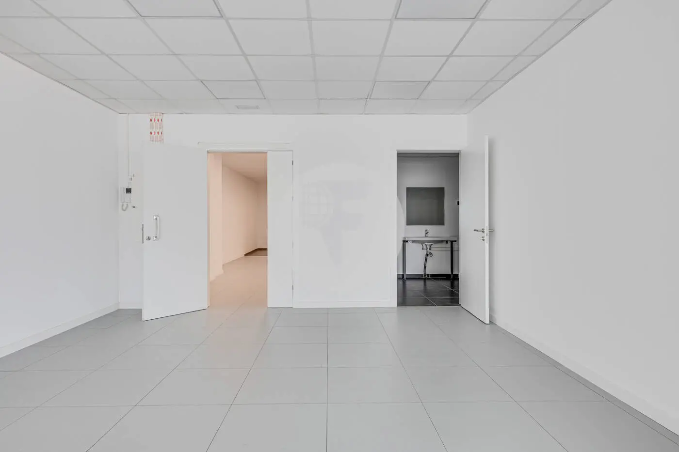 PABLO IGLESIAS 21 - imagen 69