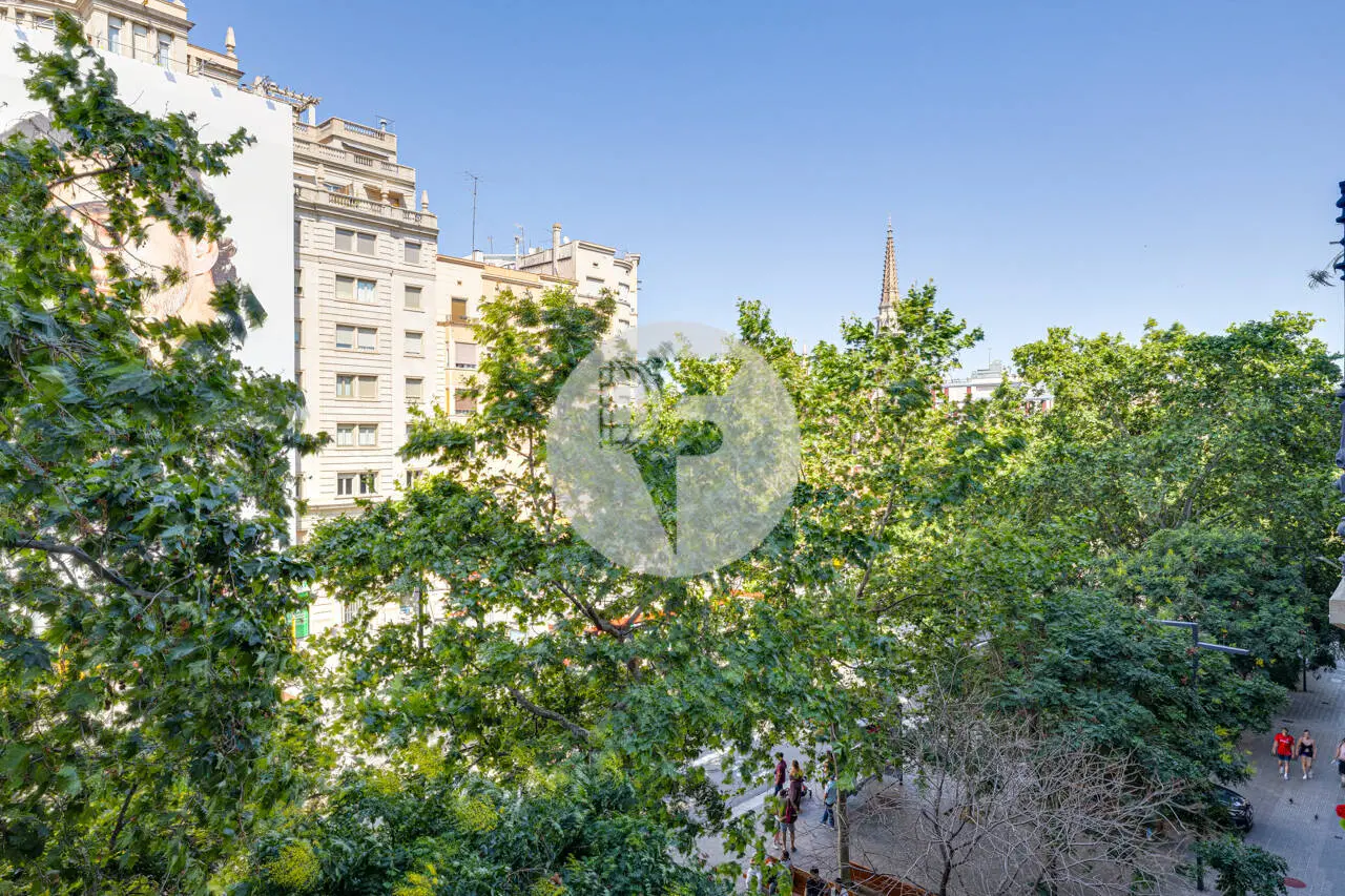 PG SANT JOAN - imagen 2