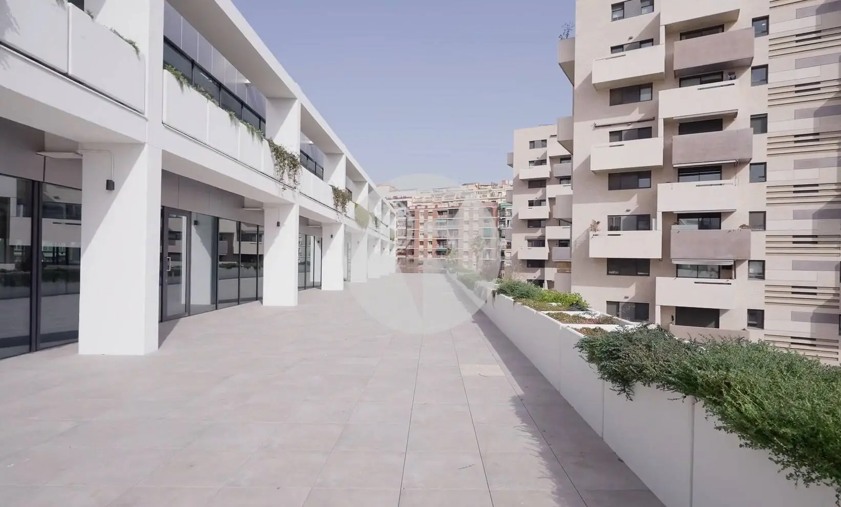 EDIFICIO LUMEN - imagen 6