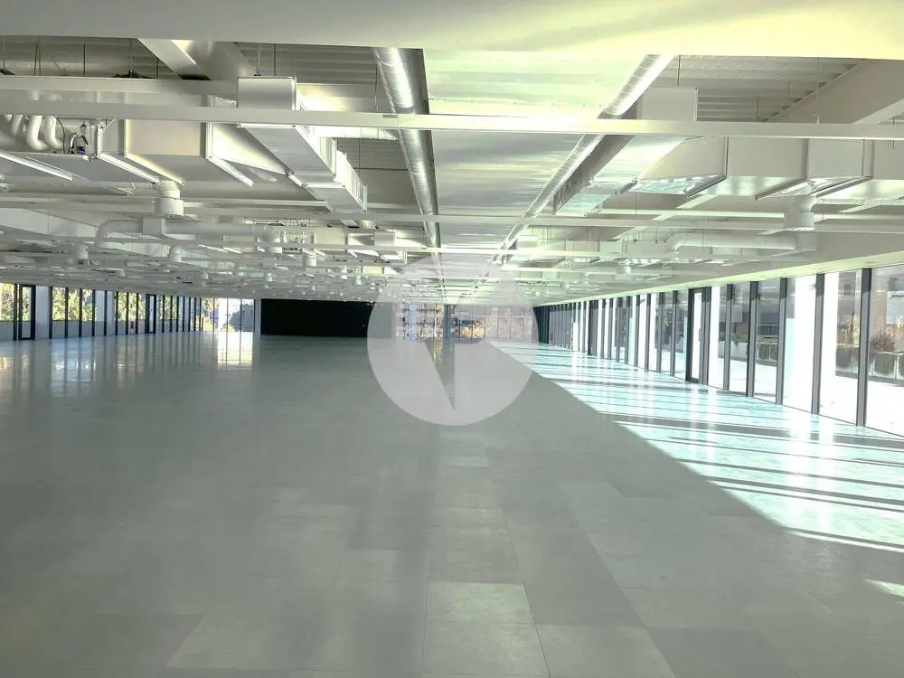 EDIFICIO LUMEN - imagen 12